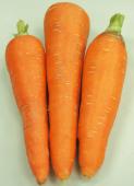 紅蘿蔔約600g±10%