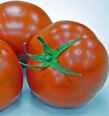 番茄約300g±10%